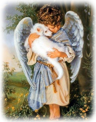 immagine angelo immagine angelo