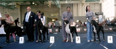 World Dog Show Salzburg 2012