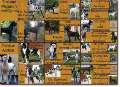 Pedigree cucciolata