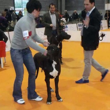 Josephin-Doree_expo.jpg